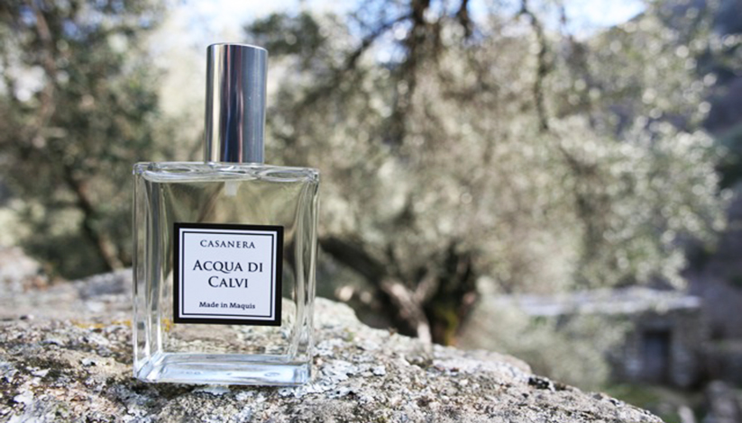 Parfum-Acqua-di-calvi-DEF