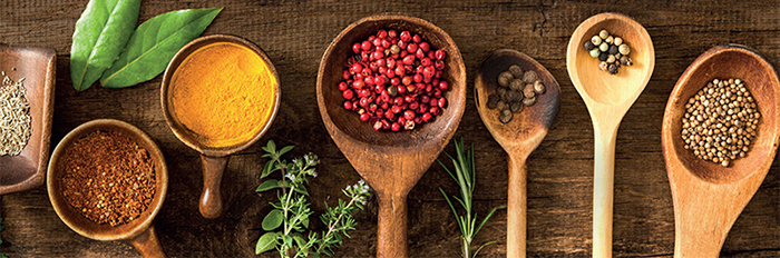 visuel-bio-et-vegan def 1