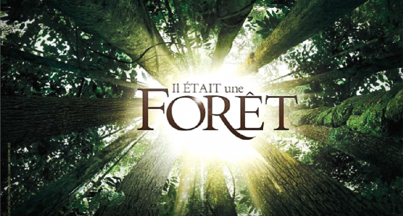 LA FORÊT