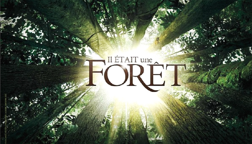 LA FORÊT