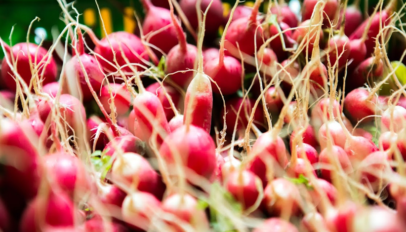 La Ruche qui dit Oui