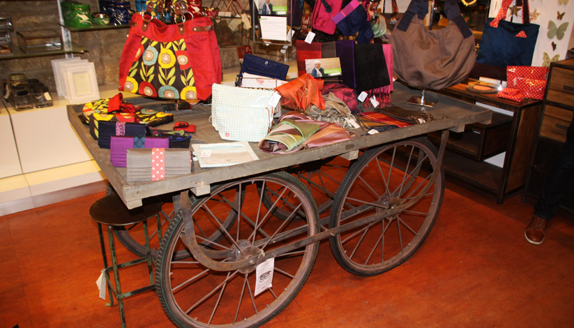 GOODPLANET & LA VIE DEVANT SOIE