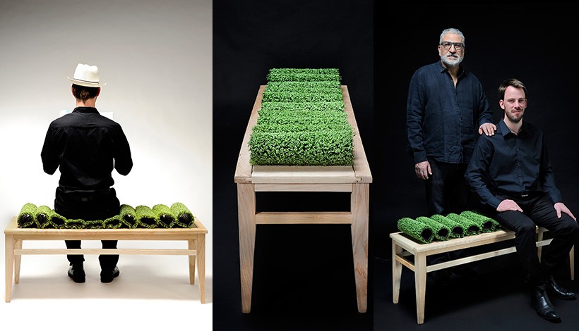 BANC LES COURBES VERTES