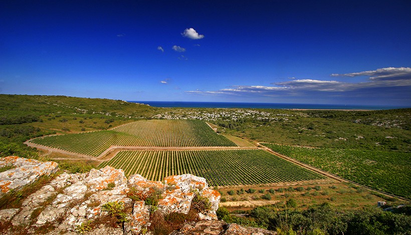 Gérard Bertrand – Yann Arthus Bertrand