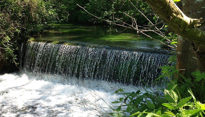 Institut PranaHvital