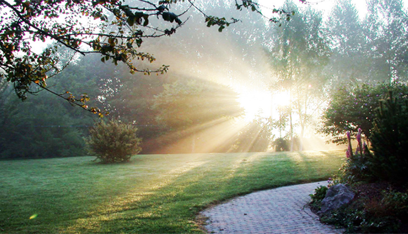 Institut PranaHvital