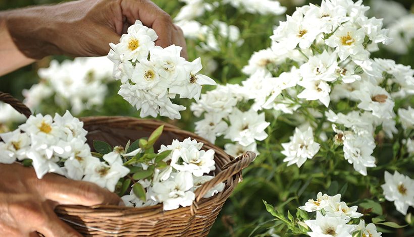 Maison Berthe Guilhem