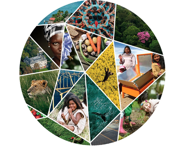 PARIS AU MOIS DE MAI