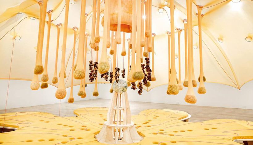 LE PARTAGE AU JARDIN