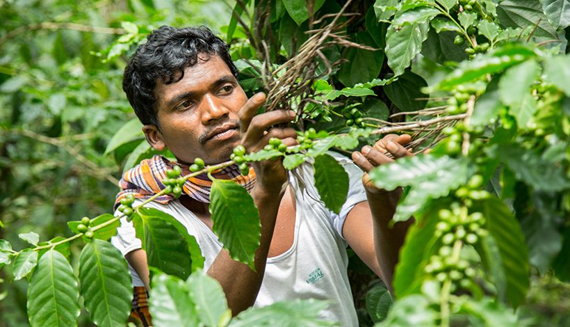 ARAKU COFFEE