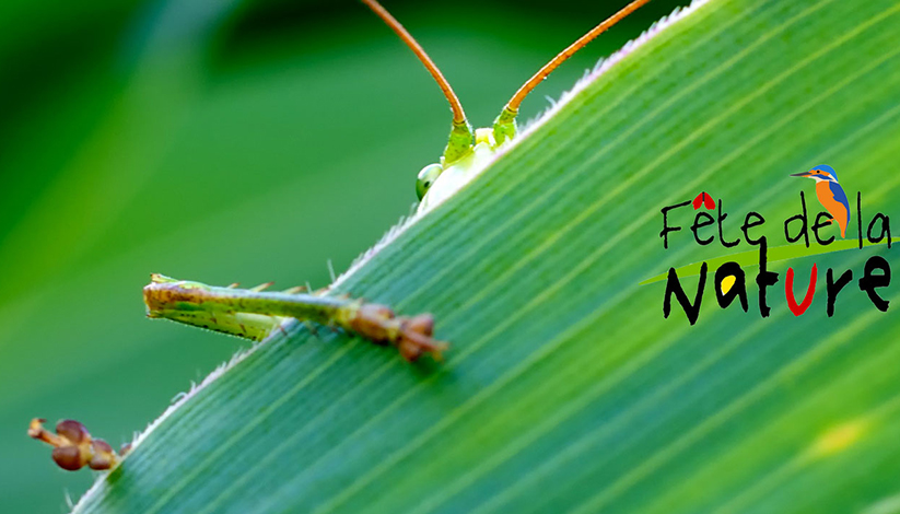 FÊTE DE LA NATURE