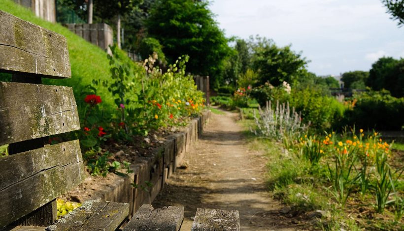 SEMAINE EUROPEENNE DU DEVELOPPEMENT DURABLE