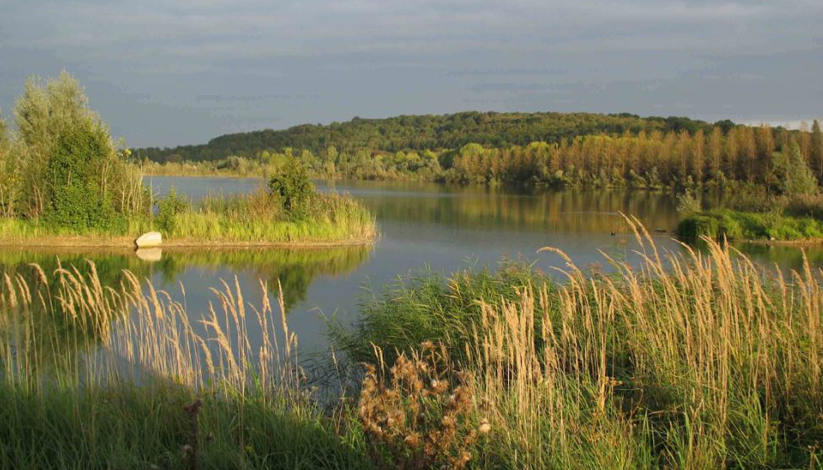 RESERVE NATURELLE REGIONALE DU GRAND VOYEUX