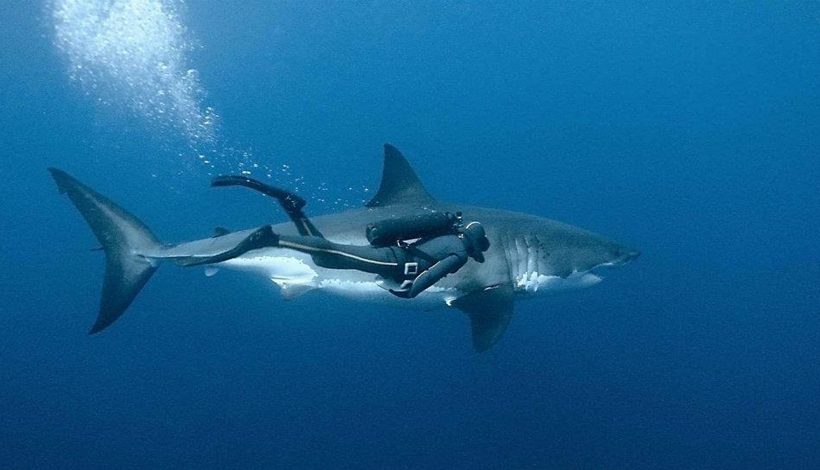 JOURNEE MONDIALE DE L’OCEAN