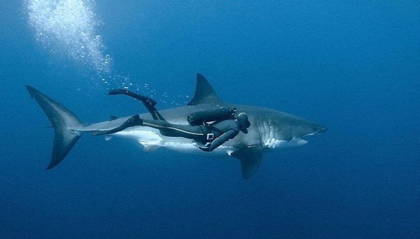 JOURNEE MONDIALE DE L’OCEAN