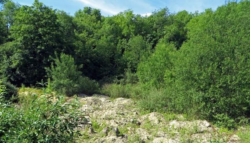 LA CORNICHE DES FORTS