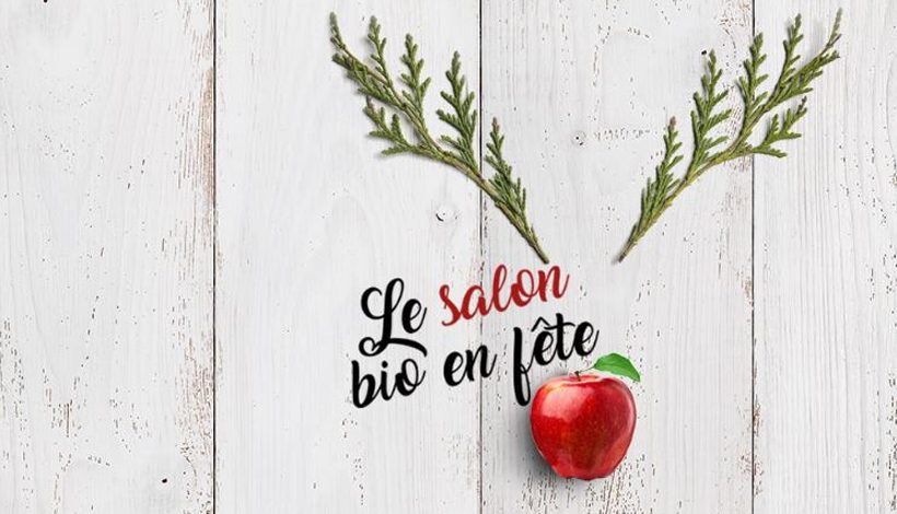 NOËL EN BIO