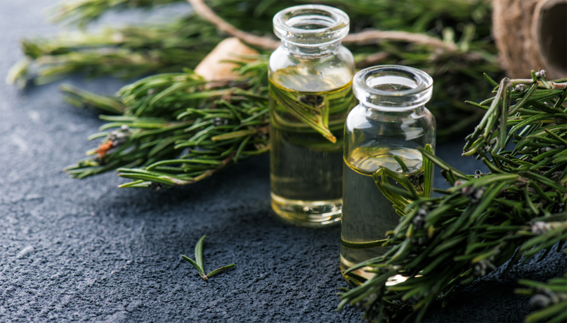 HERBES MÉDICINALES