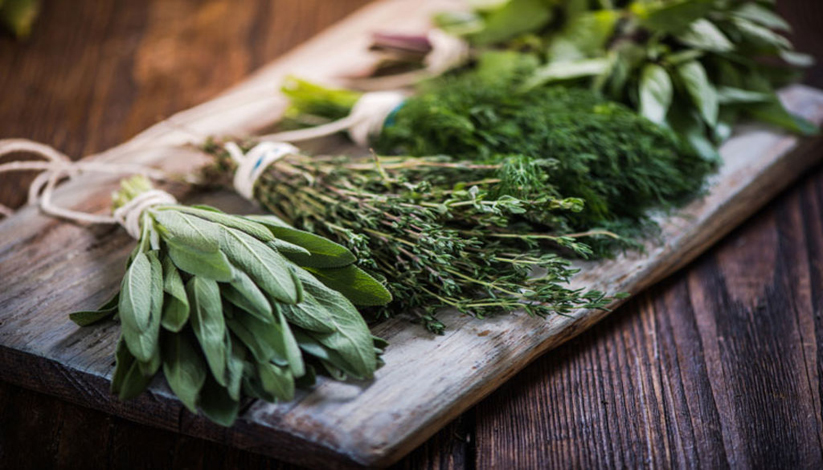 HERBES MÉDICINALES