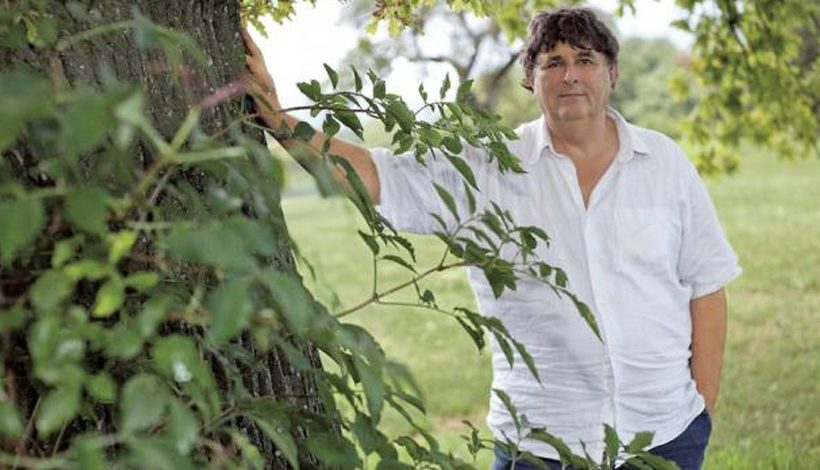 L’ÉNERGIE DES ARBRES