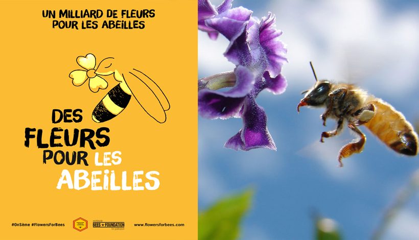 AIDONS LES ABEILLES
