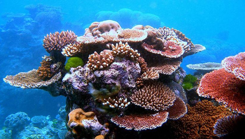 TOUCHE PAS à MA MER