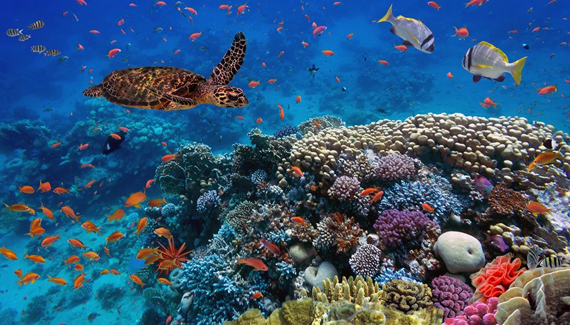 rencontres et table ronde avec La Fondation de la Mer