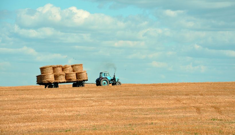 Salon International de l’Agriculture