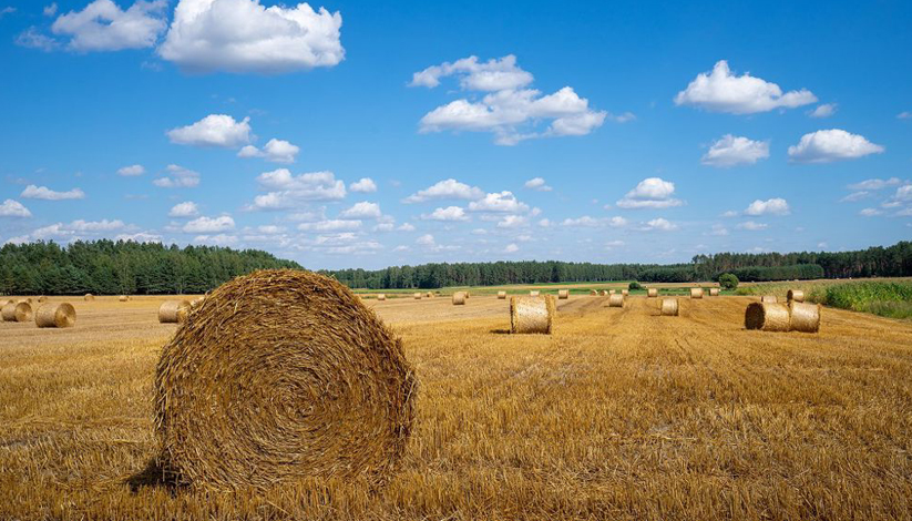 SALON DE L&rsquo;AGRICULTURE 2023