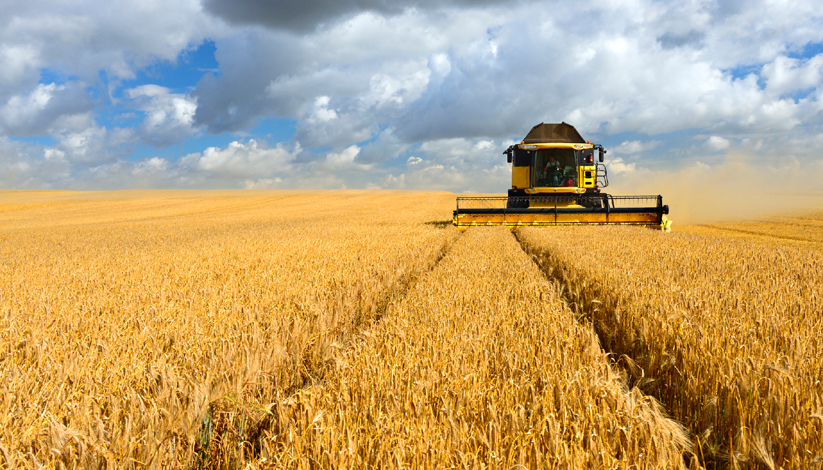 De la fourche à la fourchette