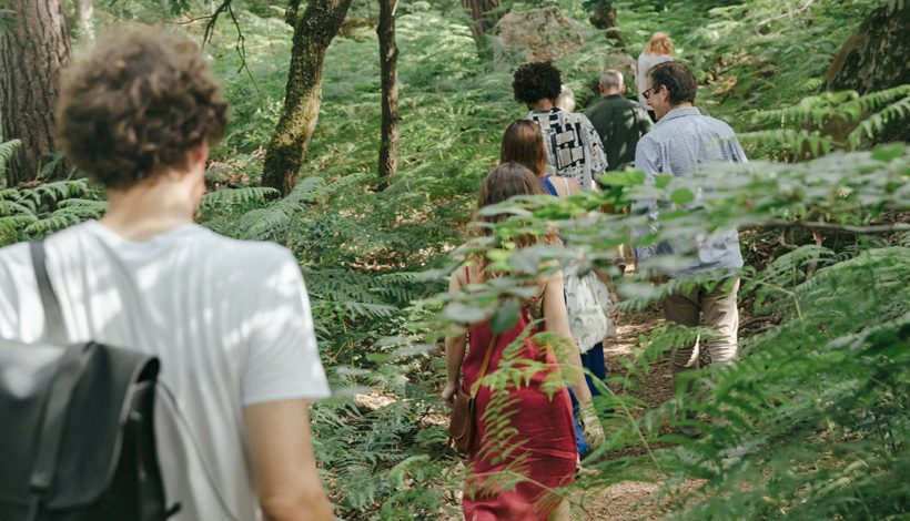 Les Nuits des Forêts 2024