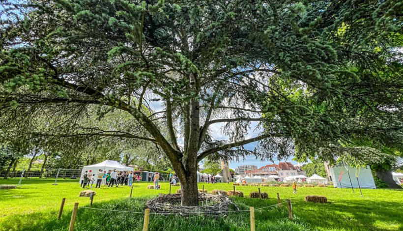 Rendez-vous aux jardins 2024