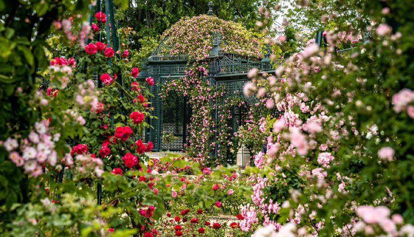 Rendez-vous aux jardins 2024
