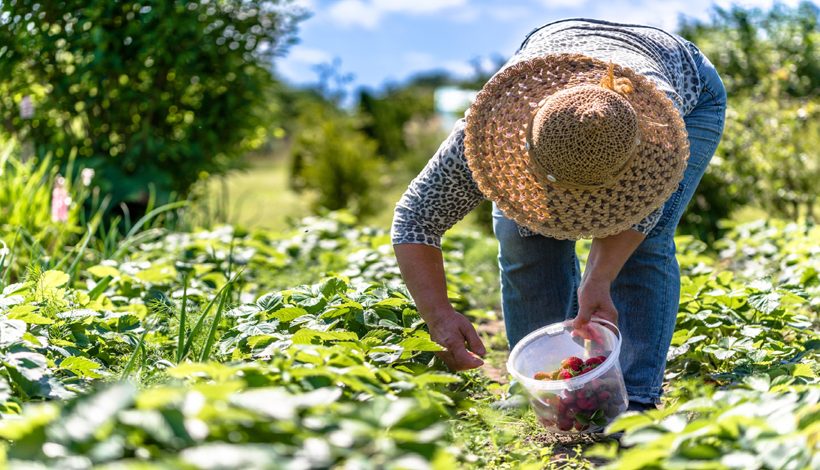 Les Journées Nationales de l’Agriculture