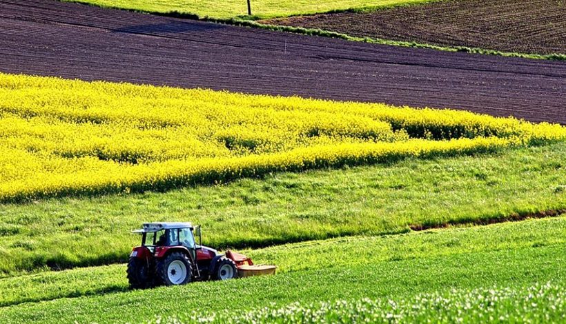 L&rsquo;agriculture biologique réduit le nombre de pesticides dans le sang