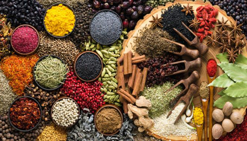 SALON MARJOLAINE 2024