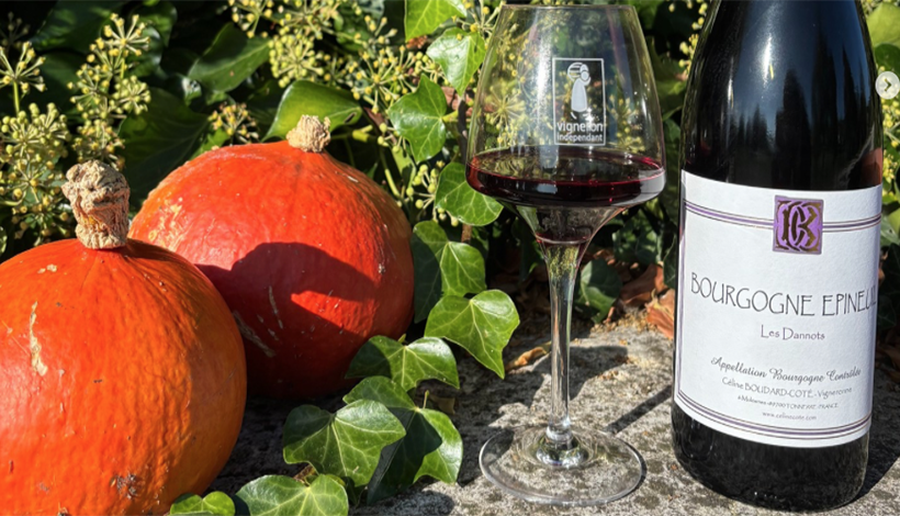 DOMAINE CÉLINE CÔTÉ