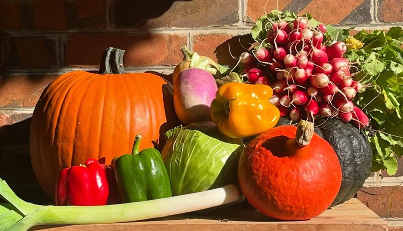 Grand Jardin dans le Perche