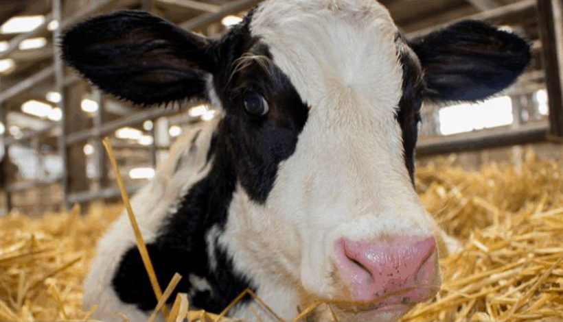 La ville de Paris signe la charte ETICA