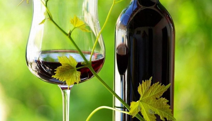 Le Grand Guide des Vins Bio