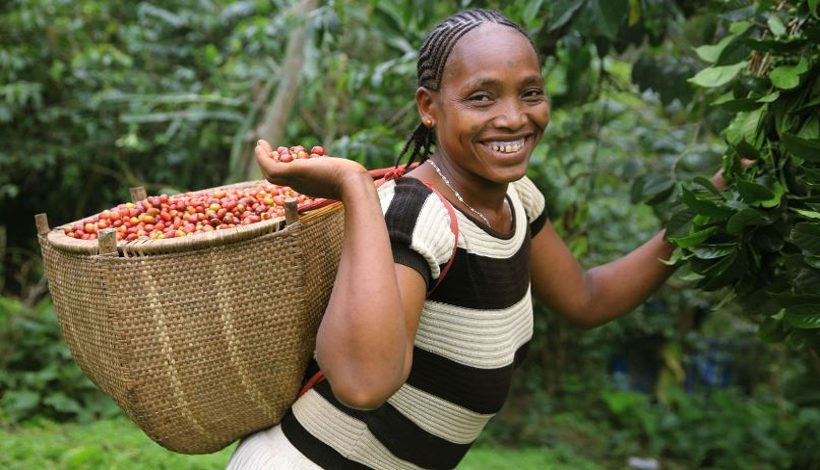 Solidar’Monde ouvre une boutique éphémère à Paris