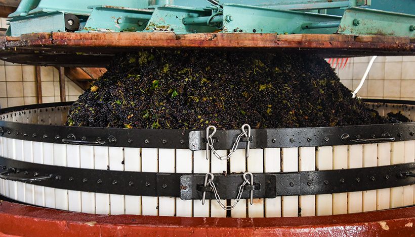 Champagne L&S Cheurlin