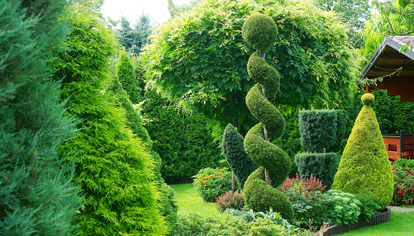 les 5e JOURNÉES MONDIALES de la TOPIAIRE