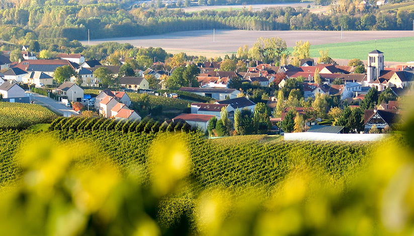 Champagne L&S Cheurlin