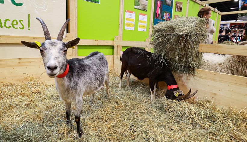Salon de l’Agriculture 2026