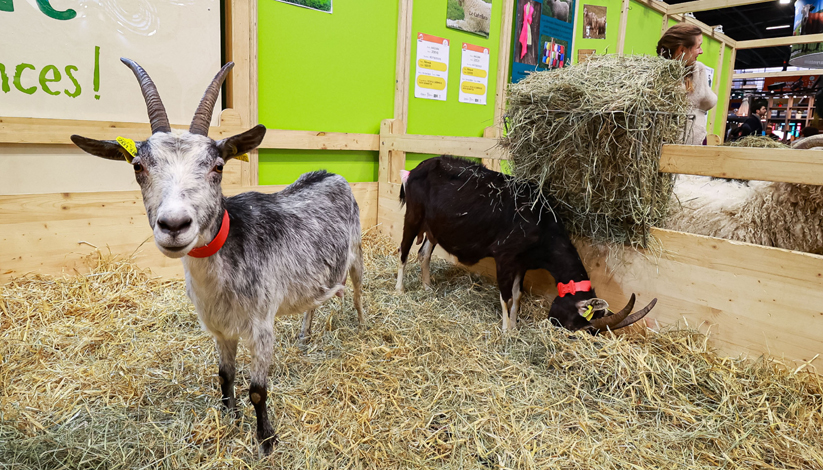 Salon de l’Agriculture 2026
