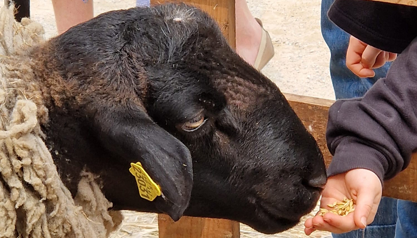 Les Journées Nationales de l’Agriculture