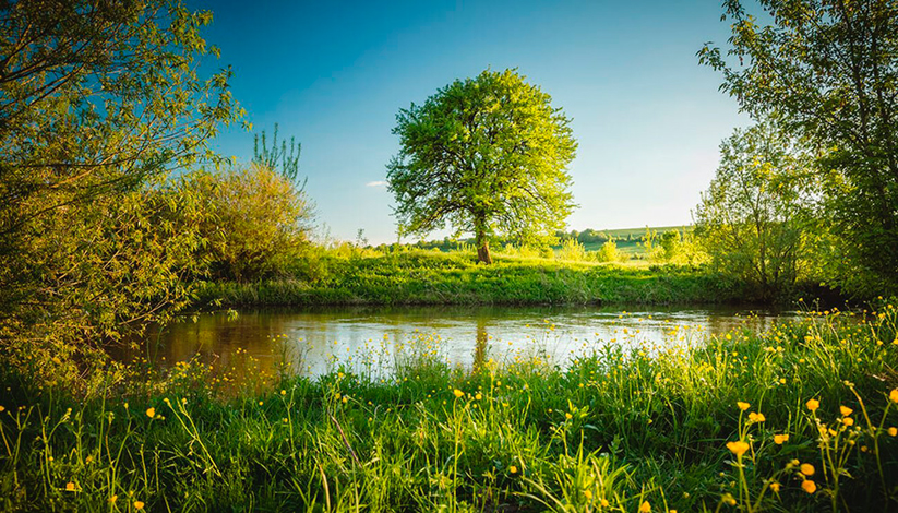 Fête de la Nature 2026