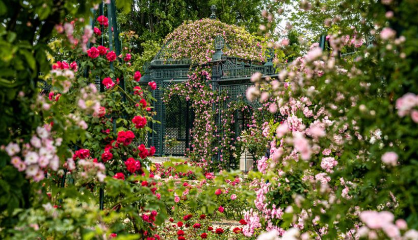 Les Rendez-vous aux jardins