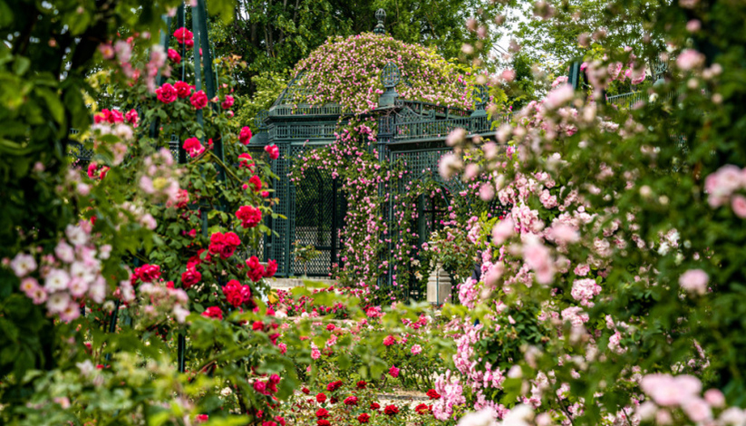 Les Rendez-vous aux jardins